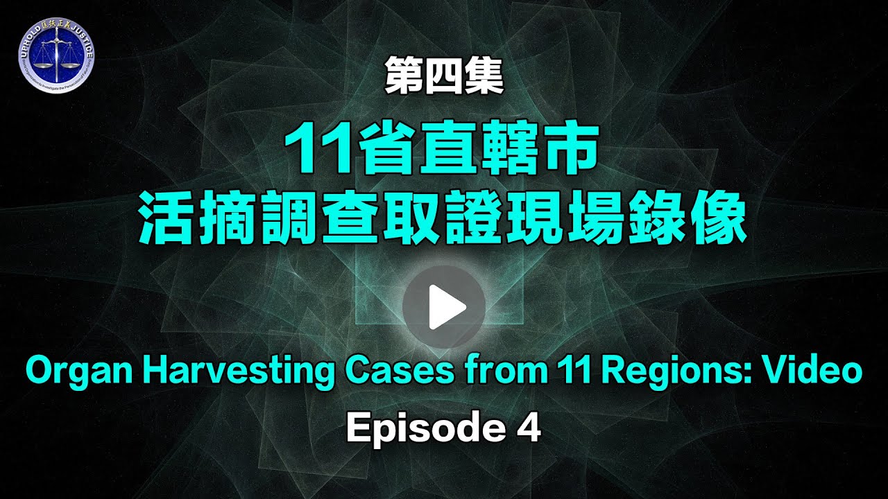 [ID: s09YXroxcqA] Youtube Automatic