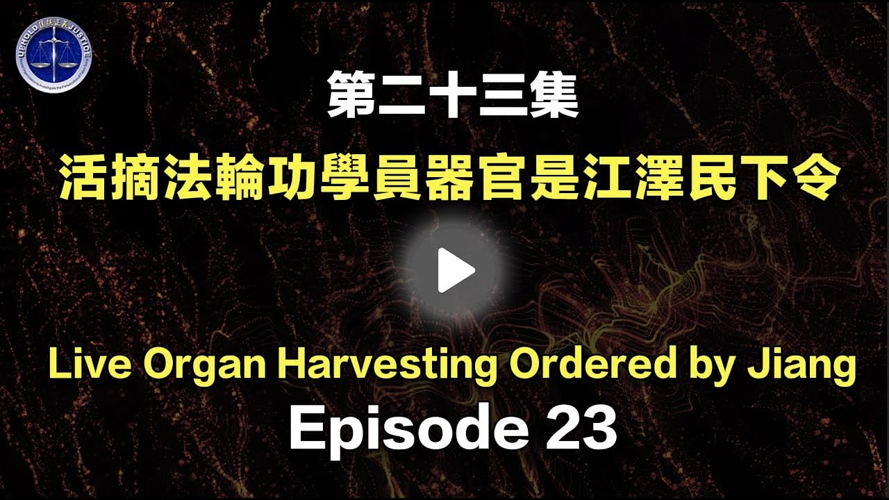 私密：[ID: Uvy3K6zE5hs] Youtube Automatic