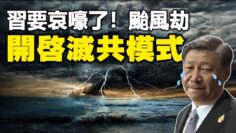 [ID: f8WndVNMGks] Youtube Automatic