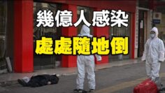 [ID: obifsGuMqmc] Youtube Automatic