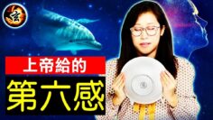 [ID: 4LXcljEQEWY] Youtube Automatic