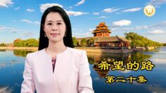 [ID: -OIrUzkvSro] Youtube Automatic