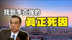 [ID: QgIag7a-P0E] Youtube Automatic