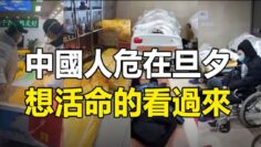 [ID: P3I7xn5Kx_s] Youtube Automatic