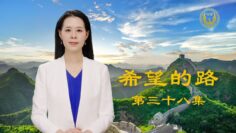 [ID: PAYpGmgn7kI] Youtube Automatic