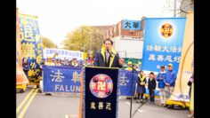 私密：[ID: DAOLaTJOjoU] Youtube Automatic