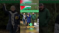 [ID: _Gp4mKy0Mi4] Youtube Automatic