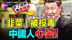 [ID: PkIH78NuLZI] Youtube Automatic