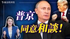 [ID: 3LO4nrEIwUk] Youtube Automatic