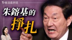 [ID: ar8xuX-XEEE] Youtube Automatic