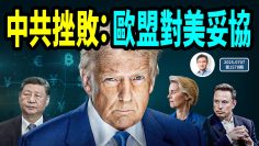 [ID: kX15VGVD2kM] Youtube Automatic