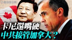 [ID: 2nw6TUyCvLs] Youtube Automatic