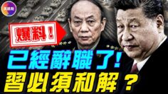 [ID: 83P5WkJAZ9M] Youtube Automatic