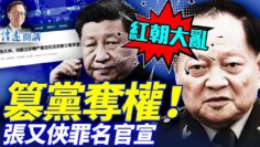 私密：[ID: 9eNh00VwDXE] Youtube Automatic