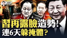 私密：[ID: cX8M-6TdAB8] Youtube Automatic