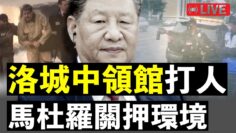 [ID: jjiJjysFmGk] Youtube Automatic