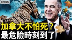 [ID: KZo9mVTR_do] Youtube Automatic