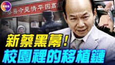 [ID: QUNKMWJ45JY] Youtube Automatic