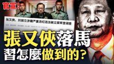 私密：[ID: sD-ngoRi5hU] Youtube Automatic