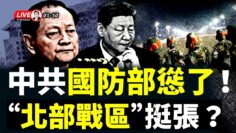 私密：[ID: Wcj4vj3fwn8] Youtube Automatic