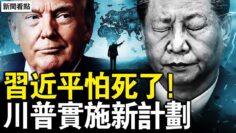 私密：[ID: x1Gk3uXwdwU] Youtube Automatic