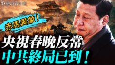 私密：[ID: 6OsDZFY2qRo] Youtube Automatic