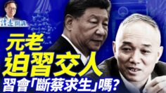 [ID: dSvEqQDT4D8] Youtube Automatic