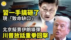 [ID: dzwthfPZPZ4] Youtube Automatic