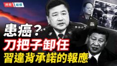 [ID: hi8OKiDK9Tw] Youtube Automatic