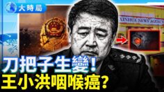 [ID: IcuLTB844m0] Youtube Automatic