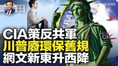 [ID: M4_GS3sT3KA] Youtube Automatic