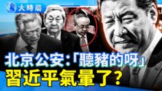 [ID: QaCiXqpKILs] Youtube Automatic