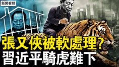 [ID: tCgz6eLES-s] Youtube Automatic