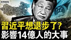 [ID: TMzspSkg-XQ] Youtube Automatic