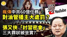 [ID: ZHHSqelaCKU] Youtube Automatic