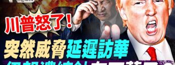 私密：[ID: 6mn04r7AHe4] Youtube Automatic