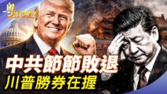 [ID: 7IWjGI_Lhdo] Youtube Automatic