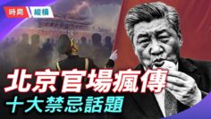 [ID: DZv5S4QzJwQ] Youtube Automatic