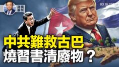 [ID: _EPChjaL8VQ] Youtube Automatic