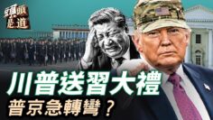 [ID: fIkO9cauARk] Youtube Automatic