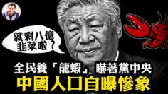 [ID: iq6Qhtb6gc0] Youtube Automatic