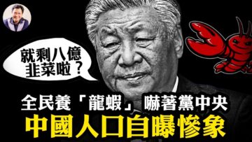 [ID: iq6Qhtb6gc0] Youtube Automatic