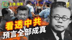 [ID: mCztIkcM9_4] Youtube Automatic