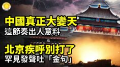 [ID: NuaSUS4BZZY] Youtube Automatic