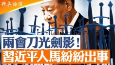 [ID: -pGP3Bcufbg] Youtube Automatic