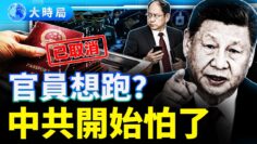 [ID: -qmb0UT4M2k] Youtube Automatic