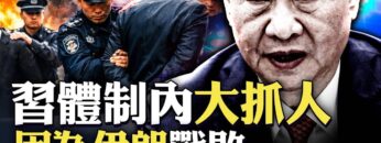 [ID: rWOcLP-alis] Youtube Automatic