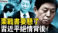 [ID: W6LCi2ZwhLQ] Youtube Automatic