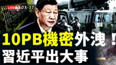 [ID: Z9OyyiZeuXk] Youtube Automatic